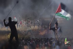 تقرير: 427 عملا مقاوما في نوفمبر بالضفة والقدس