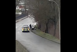 ألمانيا.. شرطي يعتدي على مسنة ويسقطها أرضا