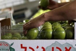 أبوظبي تؤكد استيراد منتجات المستوطنات وتطلق على الضفة "يهودا"