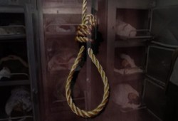 “العربية لحقوق الإنسان”: الانقلاب ينفذ مجزرة جديدة بحق 15 معتقلا