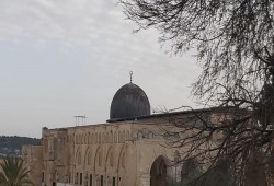 مفتي القدس يدعو لإنقاذ الأقصى من اعتداءات الاحتلال