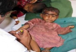 منظومة الموت ( تقرير مترجم )