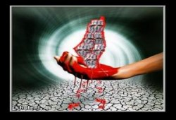 نشطاء يصورون شرطيا إسرائيليا يضرب فلسطينية
