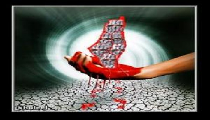 نشطاء يصورون شرطيا إسرائيليا يضرب فلسطينية