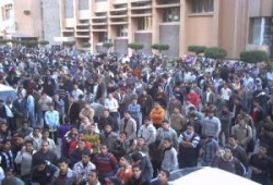 جامعة المنوفية تنتفض من أجل غزة