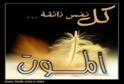 فضيلة المرشد العام ينعى للأمة الإسلامية الشيخ صادق الكاروري