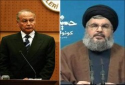 أمة السيد حسن.. وأمة السيد حسني !   بقلم / عبد الحليم قنديل