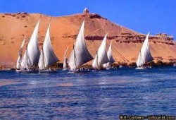 أهل النوبة يهددون بتدويل قضيتهم ويطالبون مستثمري الحكومة بالذهاب إلى توشكى المليارات