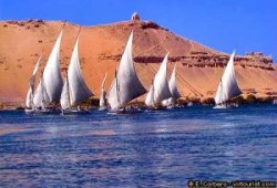 أهل النوبة يهددون بتدويل قضيتهم ويطالبون مستثمري الحكومة بالذهاب إلى توشكى المليارات