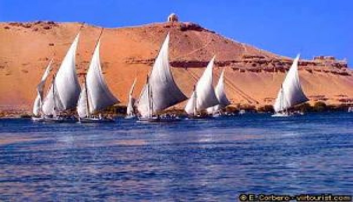 أهل النوبة يهددون بتدويل قضيتهم ويطالبون مستثمري الحكومة بالذهاب إلى توشكى المليارات