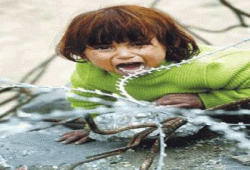 الفقر اجبر سكان غزة على تقليص وجبات الطعام