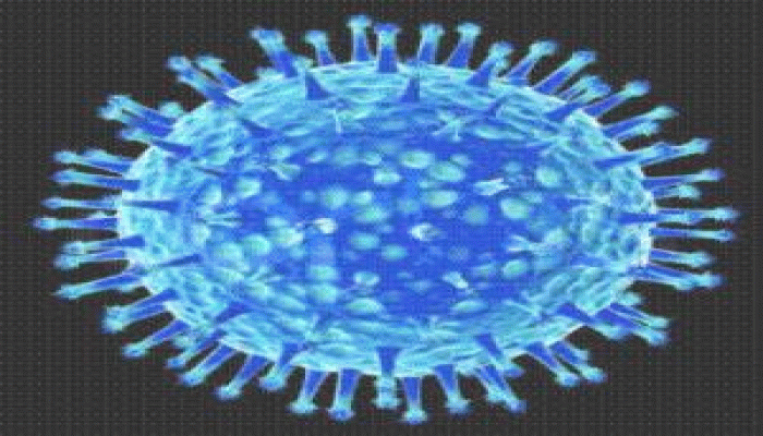 سؤال وجواب: انفلونزا الخنازير الذي نشر الرعب فى العالم