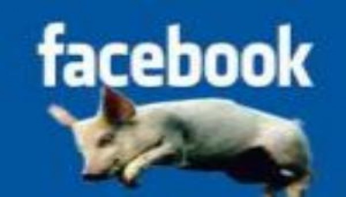 "أعدموا خنازير مصر".. صيحة يطلقها الفيس بوك