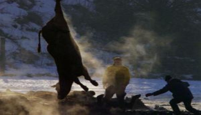 الامارات تحظر وارادت الحليب والجبن من مصر