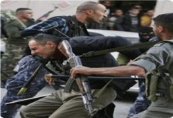 "هآرتس"   : أجهزة السلطة تشكّل وحدة خاصة لغربلة صفوفها من عناصر حماس