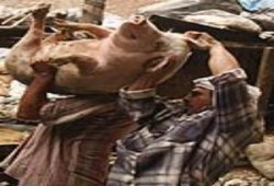 حرب الفيروسات وصناعة الأمراض  ... بقلم / أحمد منصور