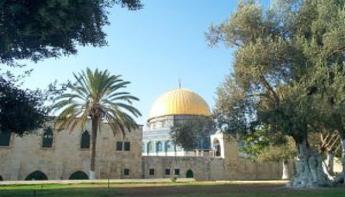 مؤتمر جماهيري لنصرة القدس بنقابة أطباء الغربية