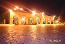 واجب الأمة نحو القبلة الأولى والمسجد الأقصى .. بقلم د / عبد الرحمن البر