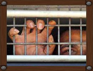 أسرى فلسطينيون يضربون عن الطعام احتجاجاً على تعيين مجندات لتفتيشهم