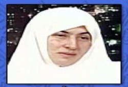 البراق يحط على حائط المبكى .. د/ ديما طارق طهبوب