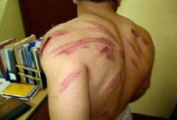 بعد تعذيب مختطفي المحلة لمدة شهرين "سواسية" يطالب النظام بوقف التعذيب في مقارِّ أمن الدولة