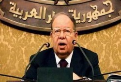 نواب الإخوان: الحكومة تتحمل مسئولية مقتل الدكتورة مروة الشربيني