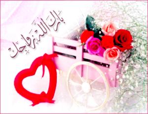 عقد قران نجل د  / جمال عبد السلام (ملف مصور) فى غياب الوالدالمعتقل