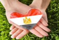 زوجة د/ حسام ابو بكر : الإخوان خيار الشعب والنظام شلة حرمية ولصوص يحتمون وراء الأمن(فيديو)