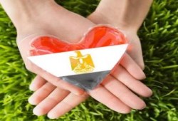 زوجة د/ حسام ابو بكر : الإخوان خيار الشعب والنظام شلة حرمية ولصوص يحتمون وراء الأمن(فيديو)