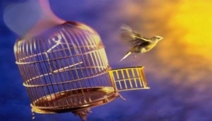 إطلاق سراح م/ مسعد قطب ووصولة إلى بيتة فجر اليوم