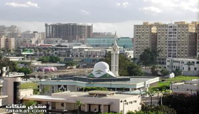 52 إصابة بأنفلوانزا الخنازير فى ناديين بالإسكندرية