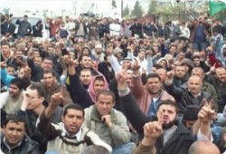مسيرات حاشدة فى ساحة الأقصى للتصدي للمقتحمين ودويك يدعوا لقمة طارئة
