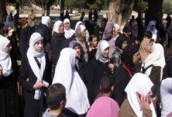 مرابطات الأقصى.. شقائق الرجال في الدفاع عن المسرى