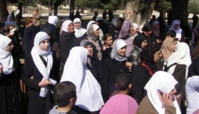 مرابطات الأقصى.. شقائق الرجال في الدفاع عن المسرى