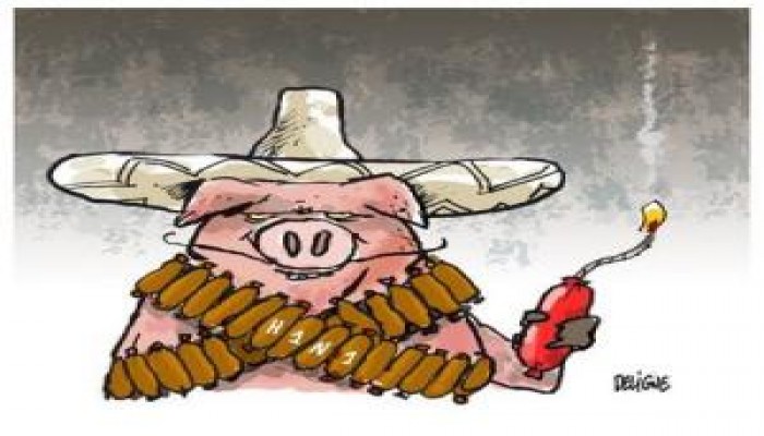 تحذير : مصل انفلوانزا الخنازير قاتل