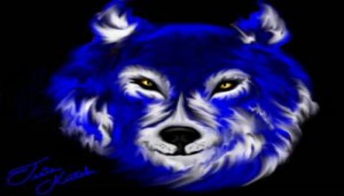 (إف بي آي) : إعتقال العشرات فى مصر والولايات المتحدة فى شبكة دولية للقنص الإلكتروني