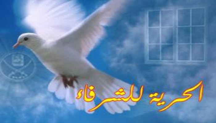 إطلاق سراح أحد قيادات الإخوان بالبحيرة