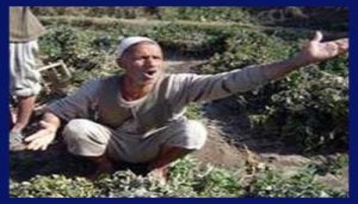 مجلس الشوري‮ ‬يحذر من‮ ‬ثورة الفلاحين‮