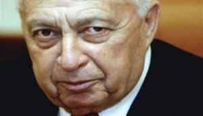 بعد 3 سنوات .. شارون يفيق من الغيبوبة