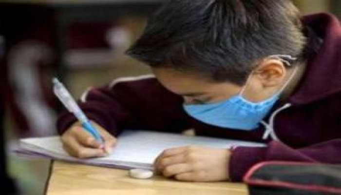 128 إصابة بالخنازير منها 69 بالمدارس والجامعات
