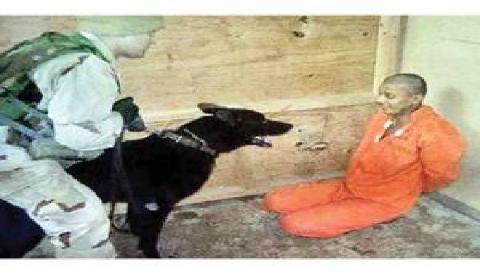 الكشف عن نسخه بريطانية من أبو غريب