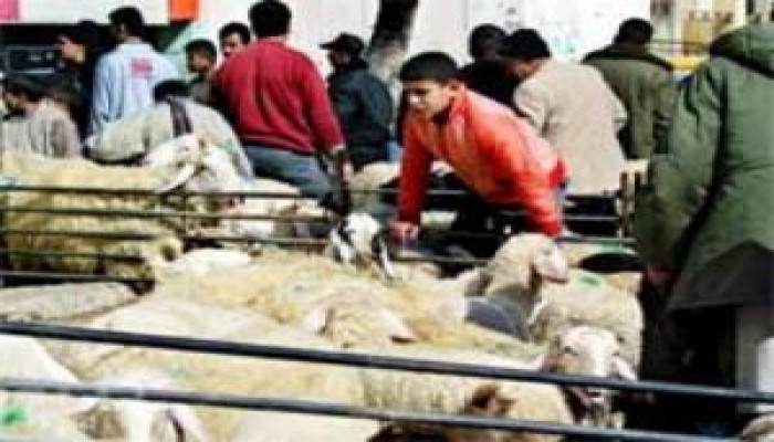 مصر توافق على عبور أضاحي العيد إلى غزة لأول مرة منذ فرض الحصار