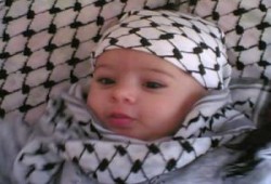 الكوفية الفلسطينية صارت تهمة!.. أ/فهمي هويدي