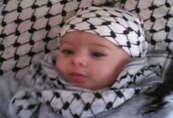 الكوفية الفلسطينية صارت تهمة!.. أ/فهمي هويدي