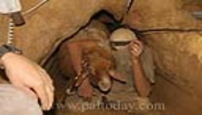 جدار العزل المصرى ..د / أحمد السعيد