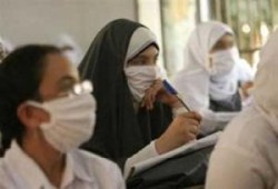 10 حالات وفاة بـ "الخنازير" في يوم واحد