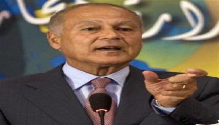 مصر المنعزلة.. د/ رفيق حبيب