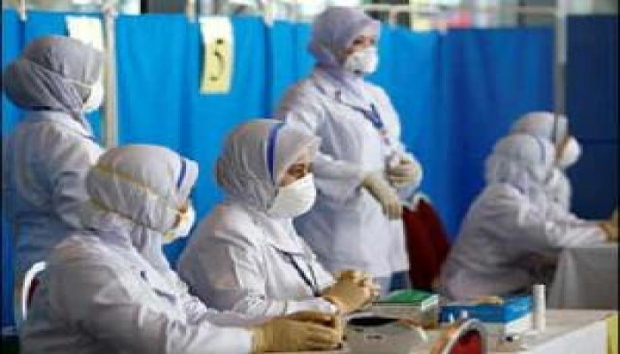 "الصحة المصرية": 3 حالات وفاة جديدة بالخنازير ترفع العدد الإجمالي إلى 256 حالة وفاة
