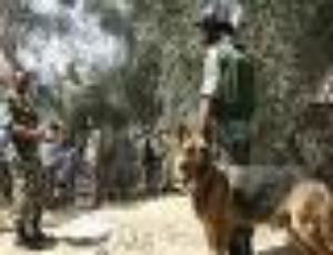 مقتل ضابط وجندي في اشتباك مع بدو سيناء