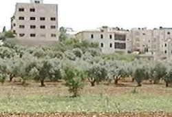 وزير العدل: سقوط عقوبة البناء علي الأراضي الزراعية فوراً ما دامت داخل كردون المدينة